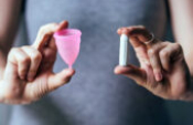 Pestisitin hasarları nelerdir? Pestisitin hasarları nelerdir?