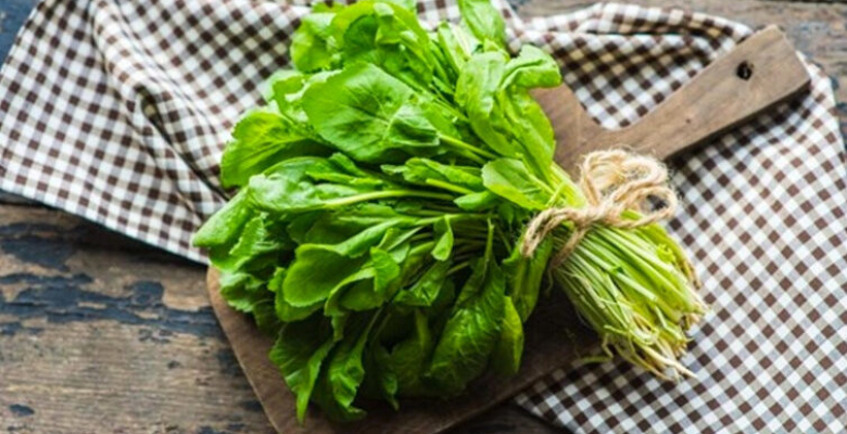 Terenin faydaları neler akciğerleri temizleyen muzice! Terenin faydaları neler akciğerleri temizleyen muzice!