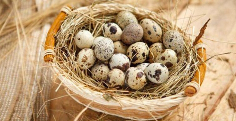 Bıldırcın yumurtasının faydaları neler böbrek taşını engelliyor! Bıldırcın yumurtasının faydaları neler böbrek taşını engelliyor!