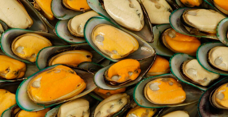 Midyenin faydaları nelerdir? Midyenin faydaları nelerdir?